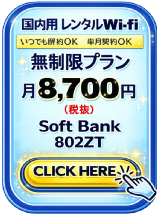 �����Ղ�M�KWi-fi �����^��Wi-fi ���ł����OK �Z���_��OK �f�[�^�l�b�g���[�N�T�[�r�X���ƕ�