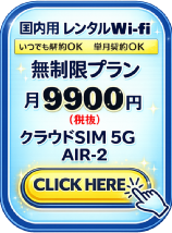 �����Ղ�M�KWi-fi �����^��Wi-fi ���ł����OK �Z���_��OK �f�[�^�l�b�g���[�N�T�[�r�X���ƕ�